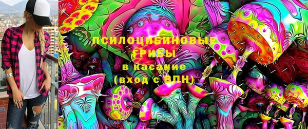 mdma Богородицк